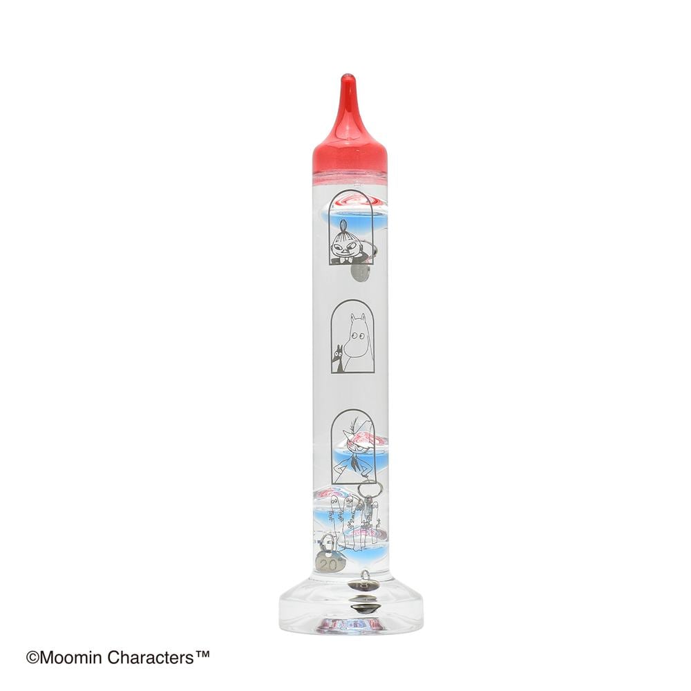 [}C][~ KXt[gxv/obN[ht@~[iBACKYARD FAMILYj [~₵