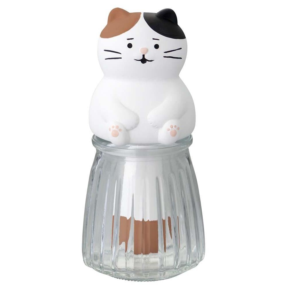 [}C]}XRbg/obN[ht@~[iBACKYARD FAMILYj ˂