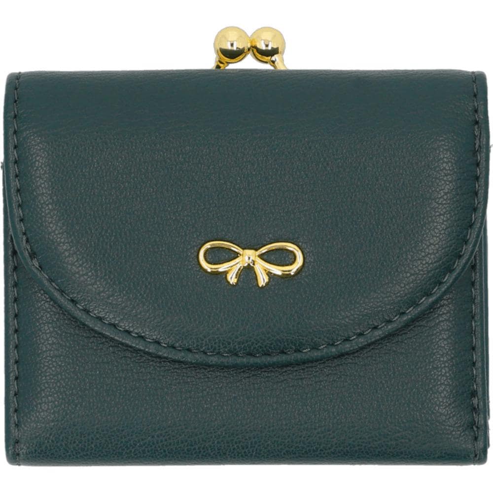 [}C]܌z/obN[ht@~[iBACKYARD FAMILYj {O[