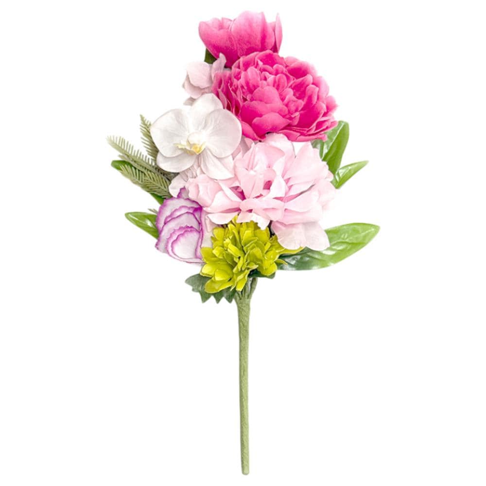 [}C]A[eBtBVt[ ԘA/obN[ht@~[iBACKYARD FAMILYj sN