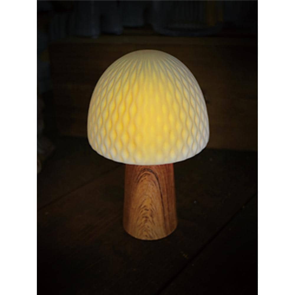 [}C]LUMO Z~bNCg/obN[ht@~[iBACKYARD FAMILYj }bV[.Eh