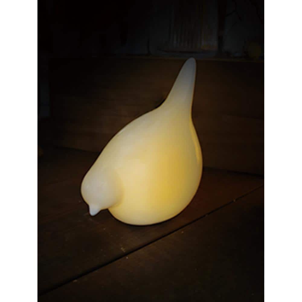 [}C]LUMO Z~bNCg/obN[ht@~[iBACKYARD FAMILYj o[hA