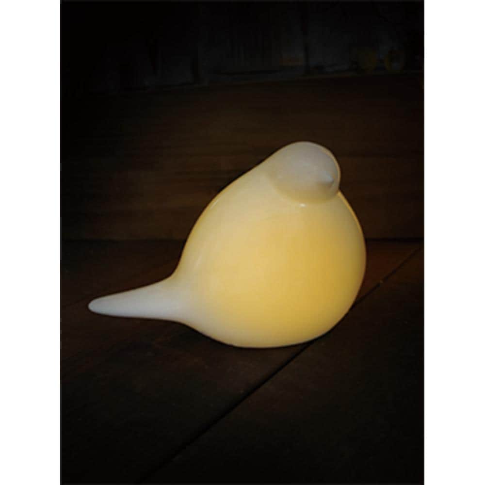 [}C]LUMO Z~bNCg/obN[ht@~[iBACKYARD FAMILYj o[hB