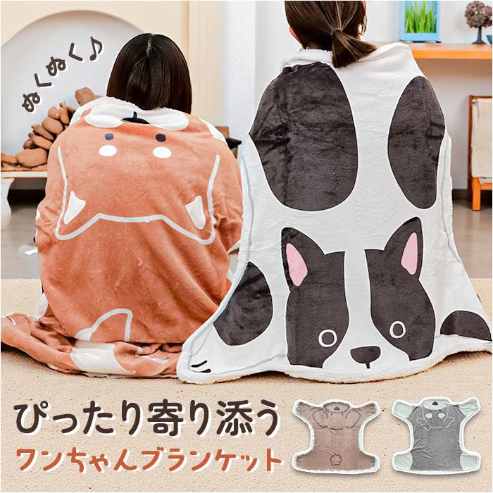 RLオックスフォードソリッド コンフォーターカバー/シングルサイズ