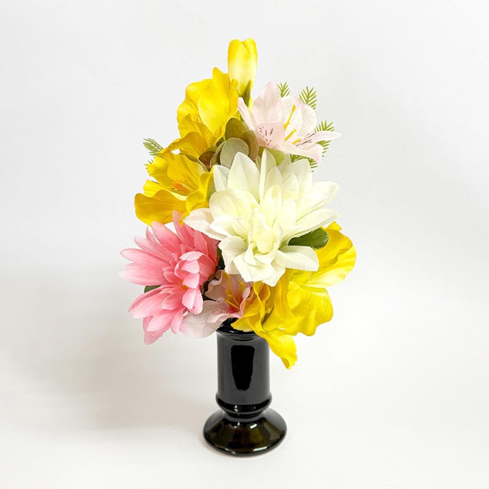 [}C]A[eBtBVt[ ԘA Ԋt/obN[ht@~[iBACKYARD FAMILYj CG[