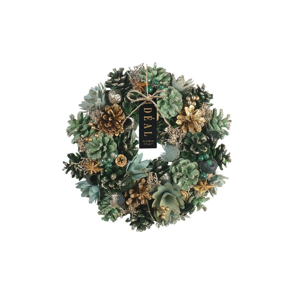 [}C]i`[X M/obN[ht@~[iBACKYARD FAMILYj fB[vO[X^[_Xg