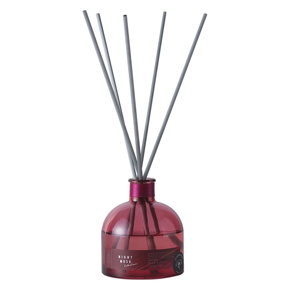 [}C]A}fBt[U[/obN[ht@~[iBACKYARD FAMILYj iCgXNGXg