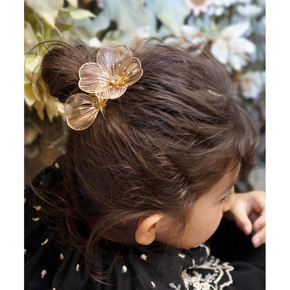 [�}���C]Rora �O���V�A �w�A�N���b�v/�o�b�N���[�h�t�@�~���[�iBACKYARD FAMILY�j �S�[���h