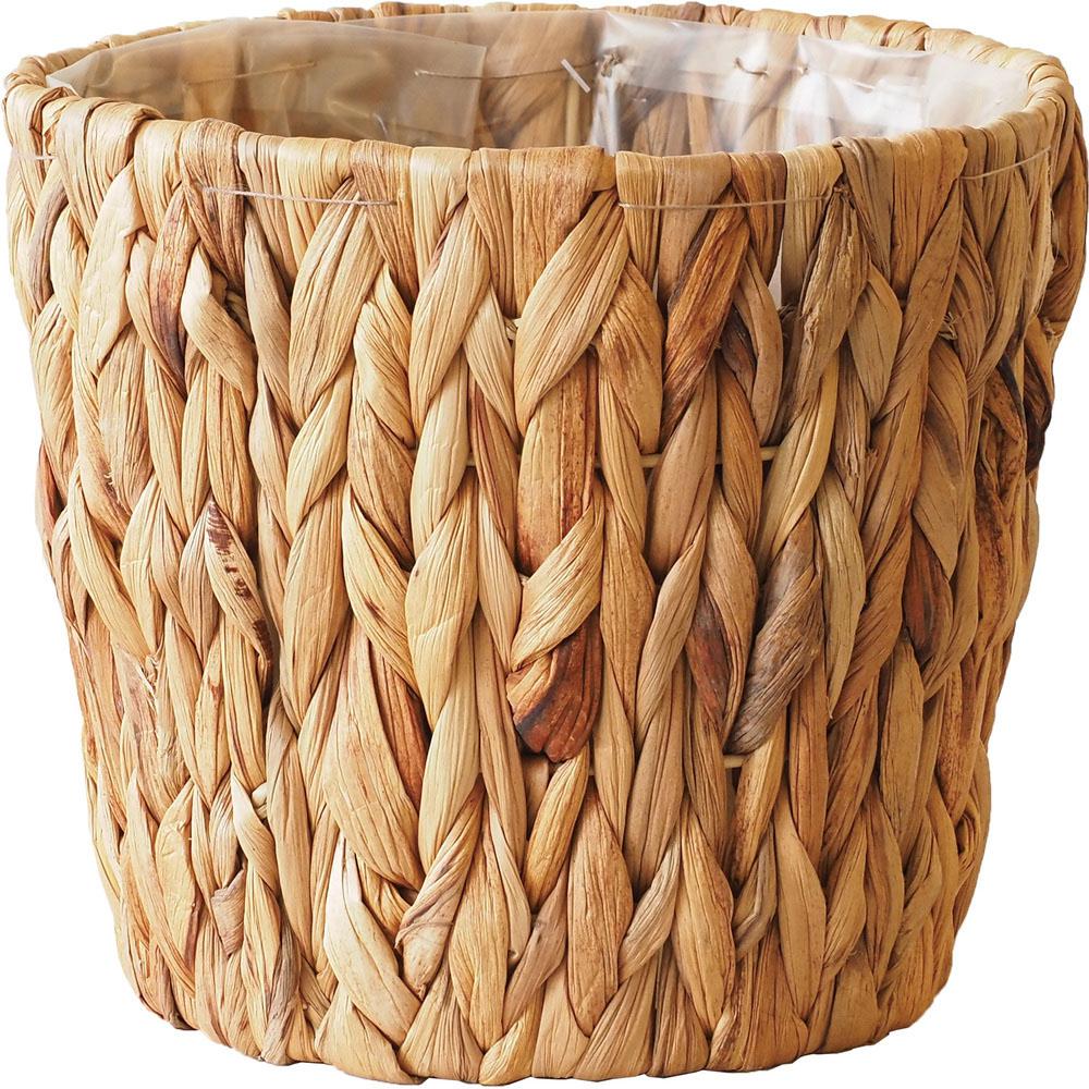 [�}���C]�A�~�A�~�|�b�g5��/�o�b�N���[�h�t�@�~���[�iBACKYARD FAMILY�j �E�H�[�^�[�q���V���X