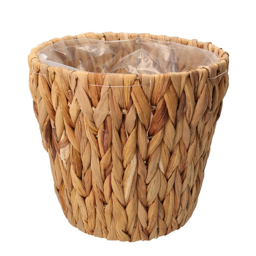 [�}���C]�A�~�A�~�|�b�g4��/�o�b�N���[�h�t�@�~���[�iBACKYARD FAMILY�j �E�H�[�^�[�q���V���X