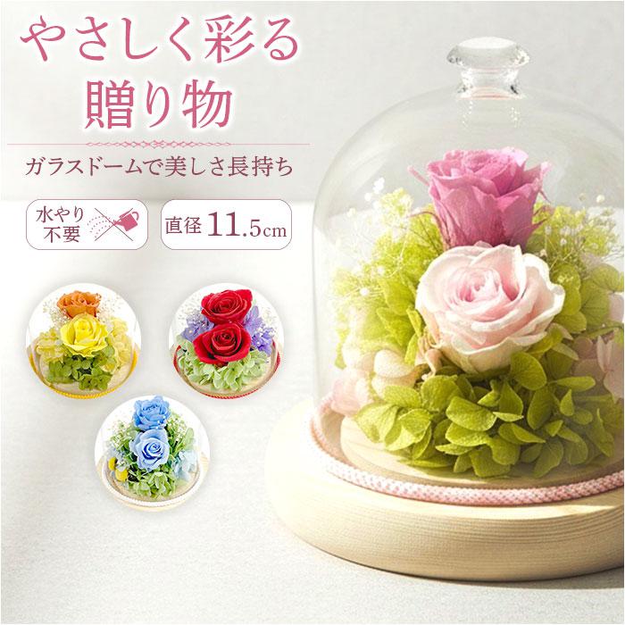 プリザーブドフラワー ガラスドーム 通販 プリザーブド フラワー