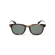 AVIREX EYEWEAR -AX-305 ／ サングラス ／ アヴィレックス
