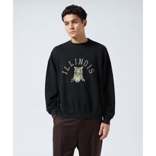 REMI RELIEF ／ ロングウォッシュ加工 別注3飛び裏毛クルースウェット(ILLINOIS)