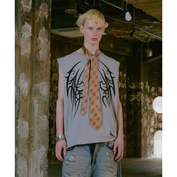 [}C]FR(13)NDS ^tY^GRAPHIC NS/CtbViROYAL FLASHj x[W