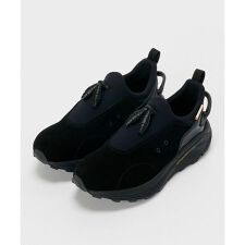 Hender Scheme／エンダースキーマ／species