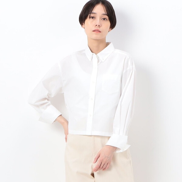 バックサテンアムンゼン シアー袖切り替えシャツ | ギャバジン K.T