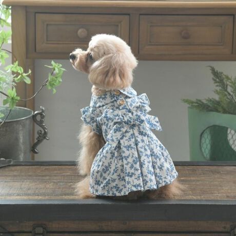 [^ԁFN9911357]ɈĂA؂₩ȉԕfUC̃s[XłBwɂ̓{|CgƂĕtĂāApƂтL[gɁBƖ̊֌WɂAۂFČꍇ܂B܂Ap\REX}[gtHȂǂ̊ɂA኱iƉ摜̃J[قȂꍇ܂B