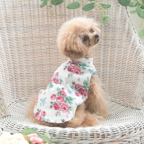 [^ԁFN9911362]̃bNXX^Cɂ҂ȁAbtñ^NgbvłB_炩ȑfނɗDAʋCǂłB[AVCŒNĂlC̕łBƖ̊֌WɂAۂFČꍇ܂B܂Ap\REX}[gtHȂǂ̊ɂA኱iƉ摜̃J[قȂꍇ܂B