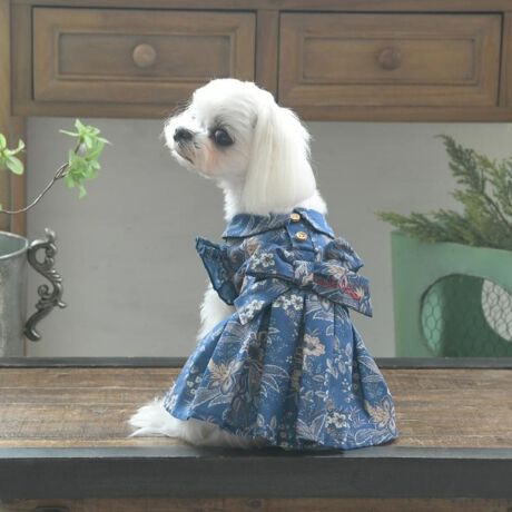 [^ԁFN9911358]ɈĂA؂₩ȉԕfUC̃s[XłBwɂ̓{|CgƂĕtĂāApƂтL[gɁBƖ̊֌WɂAۂFČꍇ܂B܂Ap\REX}[gtHȂǂ̊ɂA኱iƉ摜̃J[قȂꍇ܂B