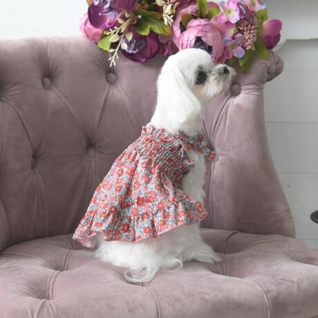 [^ԁFN9911359]œ₷L~\[s[XłB̃{肰ȂANZgɂȂĂ܂BƖ̊֌WɂAۂFČꍇ܂B܂Ap\REX}[gtHȂǂ̊ɂA኱iƉ摜̃J[قȂꍇ܂B