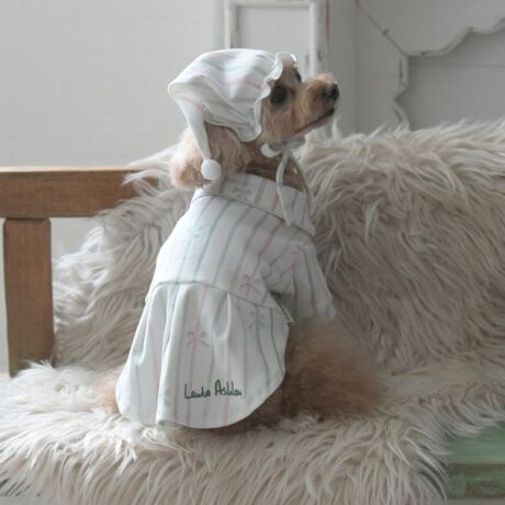 [^ԁFN9911401]Sn悭Q郊bNXpW}ƃX[vXq̃ZbgłBLk̂鐶ngpĂ܂Bʃt@Xi[dlŒE₷fUCłBƖ̊֌WɂAۂFČꍇ܂B܂Ap\REX}[gtHȂǂ̊ɂA኱iƉ摜̃J[قȂꍇ܂B