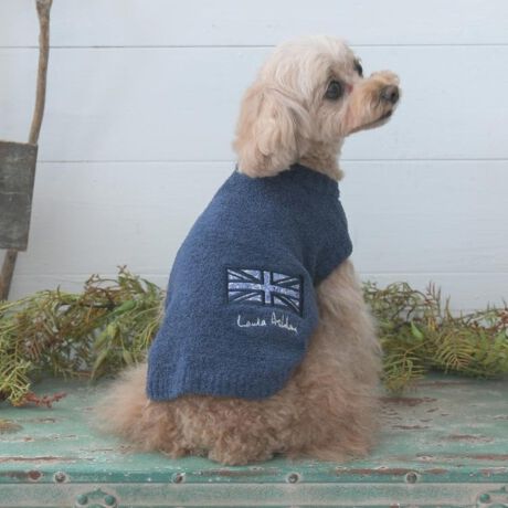 [^ԁFN9911403]V[YlC̃jIWbNvg|Cg̃lCr[J[̃[EGA͒j̎qɂĂ܂BӂƏ_炩n͂̃L[gȌڂłȂAƂ̃bNXƎԂ߂EGAƂĂ߂łBƖ̊֌WɂAۂFČꍇ܂B܂Ap\REX}[gtHȂǂ̊ɂA኱iƉ摜̃J[قȂꍇ܂B