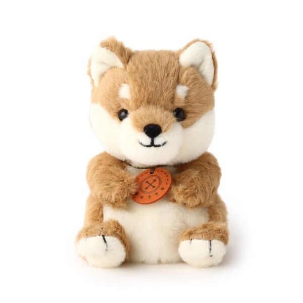 [}C]potte Č/YeXione'sterracej x[Wi050j