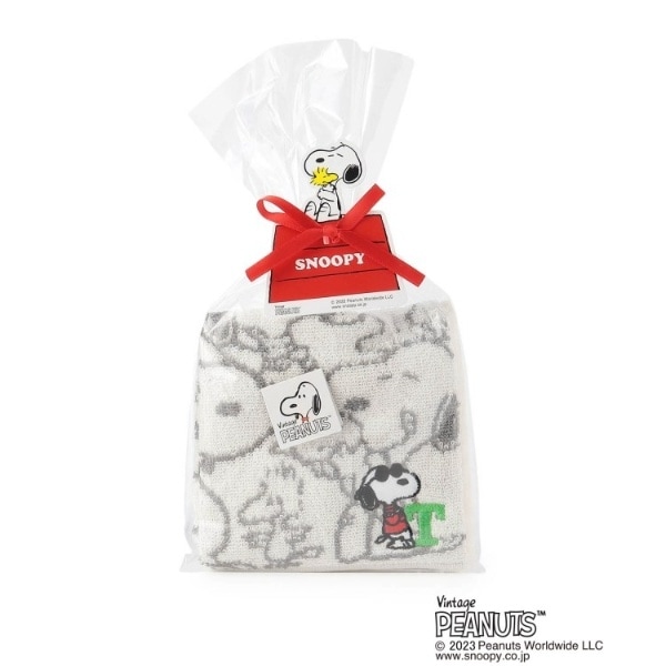 [}C]SNOOPY CjV~j^I T/YeXione'sterracej AC{[i003j