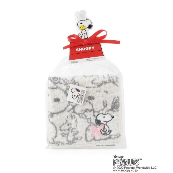 [}C]SNOOPY CjV~j^I N/YeXione'sterracej AC{[i003j