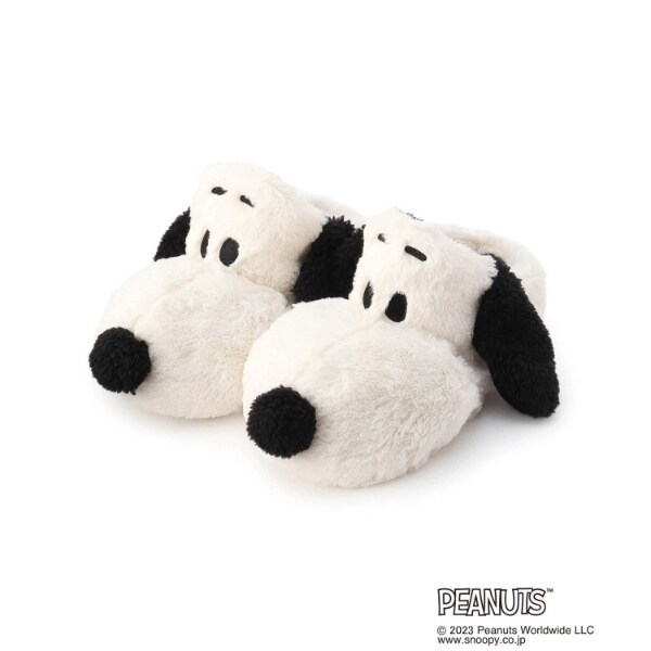 [}C]SNOOPY Xbp i|IX^C/YeXione'sterracej zCgi002j