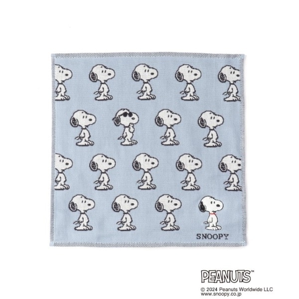 [}C]SNOOPY 3dK[[~j^I/YeXione'sterracej u[i993j