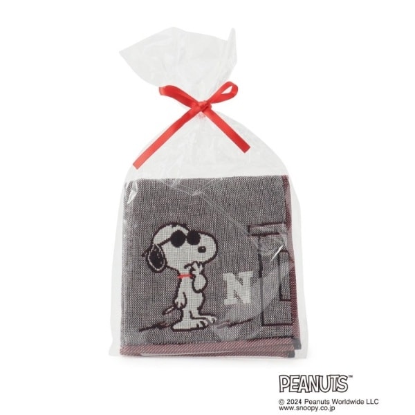 [}C]SNOOPY OdK[[CjVnJ` N/YeXione'sterracej O[i912j