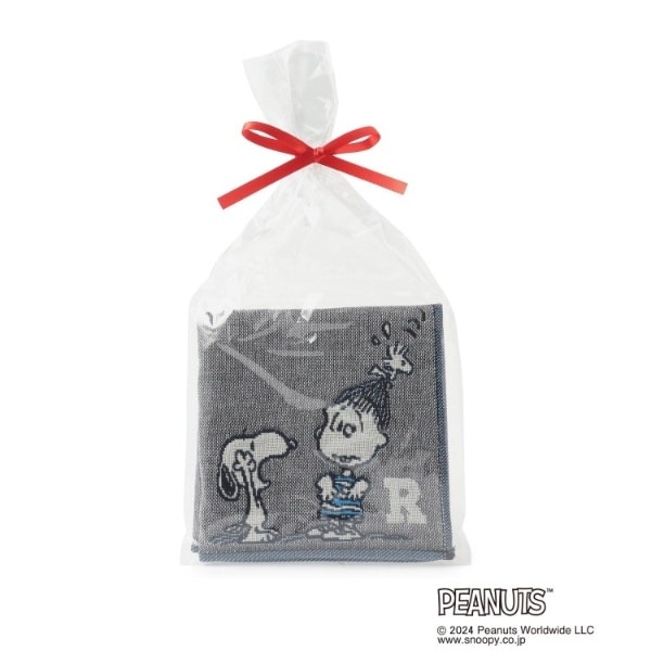 [}C]SNOOPY OdK[[CjVnJ` R/YeXione'sterracej O[i912j