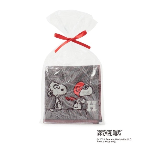 [}C]SNOOPY OdK[[CjVnJ` H/YeXione'sterracej O[i912j