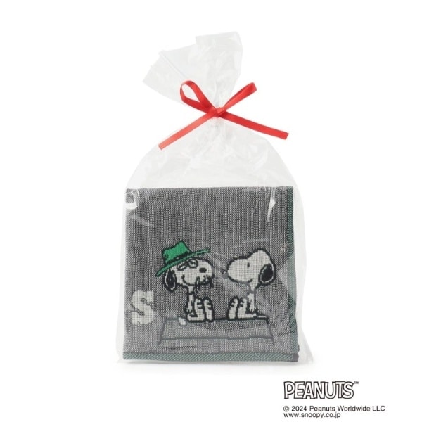 [}C]SNOOPY OdK[[CjVnJ` S/YeXione'sterracej O[i912j