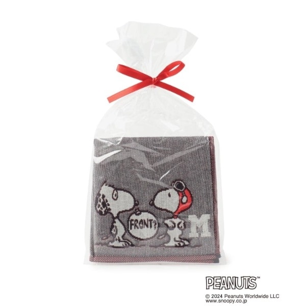 [}C]SNOOPY OdK[[CjVnJ` M/YeXione'sterracej O[i912j