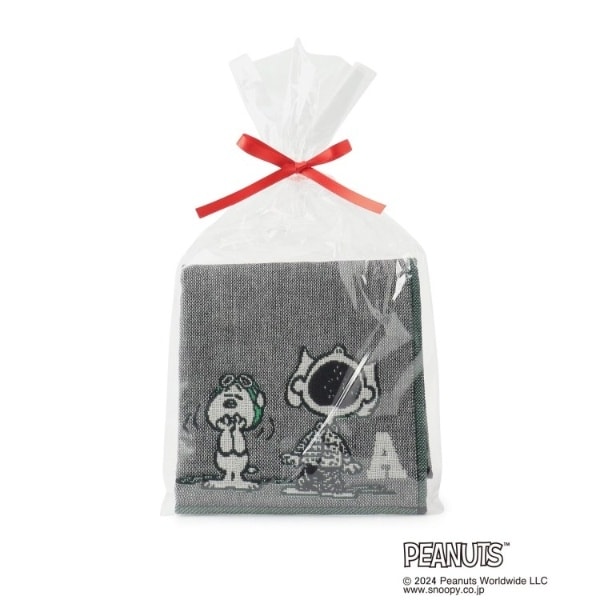 [}C]SNOOPY OdK[[CjVnJ` A/YeXione'sterracej O[i912j