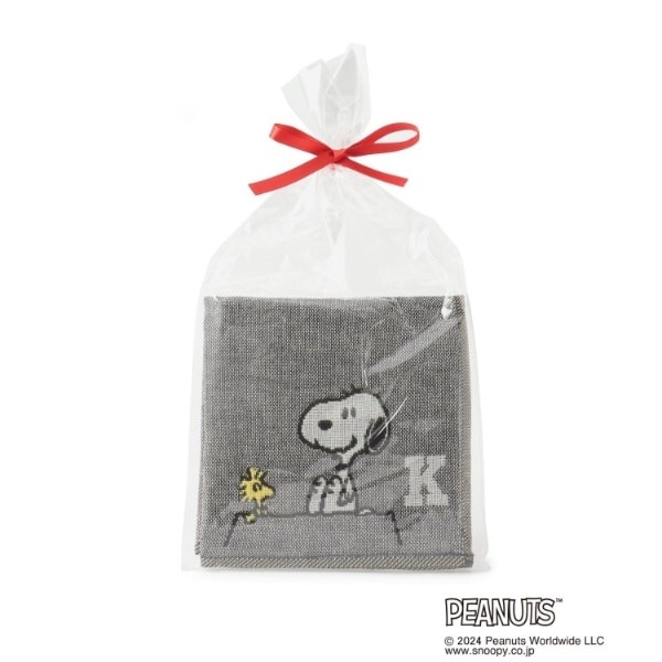 [}C]SNOOPY OdK[[CjVnJ` K/YeXione'sterracej O[i912j