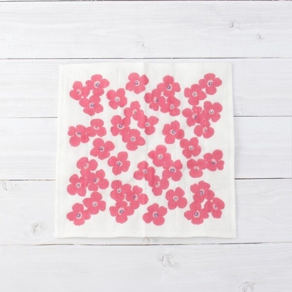 [}C]Eternal Blooms ␶nӂ `Att[Y/YeXione'sterracej sNi972j