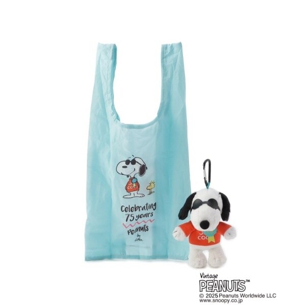 snoopyさま専用一式　スワッグ（ブーケ）・ヘッドドレス・手提げ袋 snoopyさま専用一式 スワッグ（ブーケ）・ヘッドドレス・手提げ袋