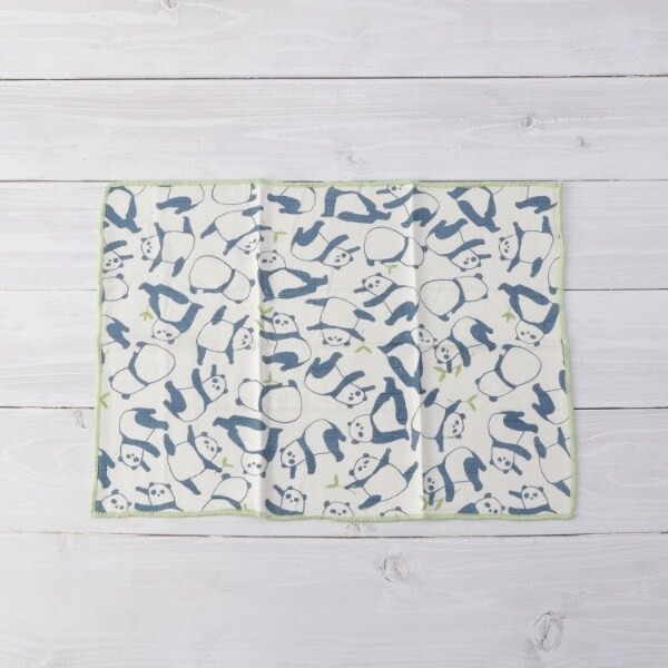 [}C]P ӂ/YeXione'sterracej CgO[i920j