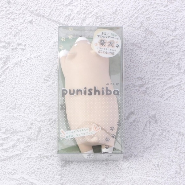 [}C]puni Ղɂ/YeXione'sterracej x[Wi952j