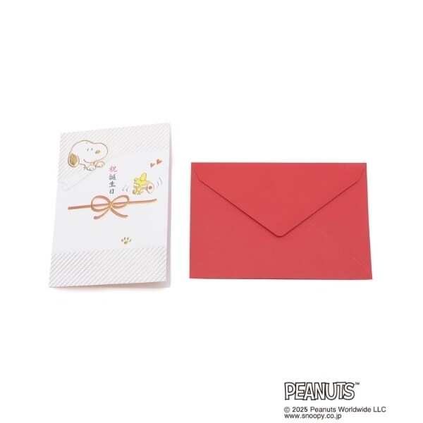 [}C]SNOOPY O[eBOJ[h nbs[o[Xf[ /YeXione'sterracej bhi962j