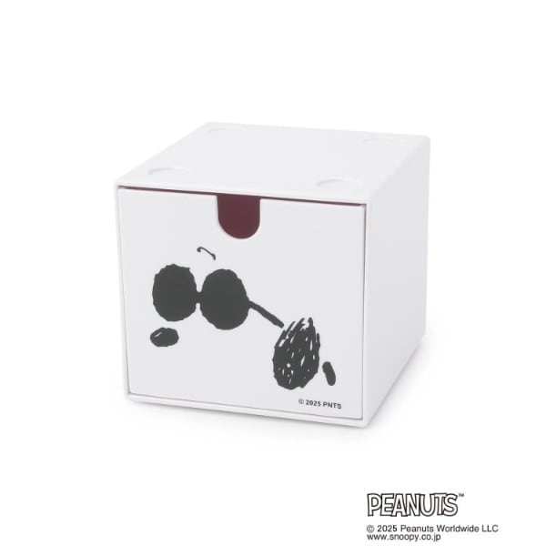 [}C]SNOOPY X^bLO`FXg/YeXione'sterracej zCgi901j