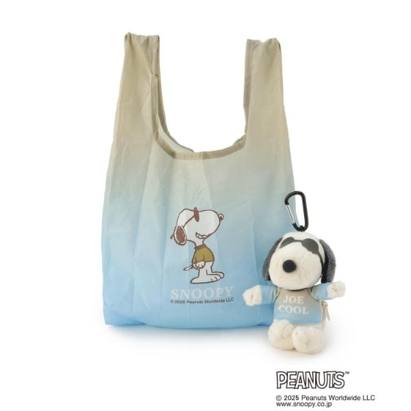 [}C]SNOOPY ʂ݃GRobO W[EN[/YeXione'sterracej x[Wi952j
