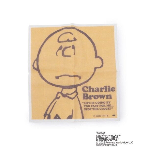 [}C]SNOOPY ␶nӂ/YeXione'sterracej CG[i932j