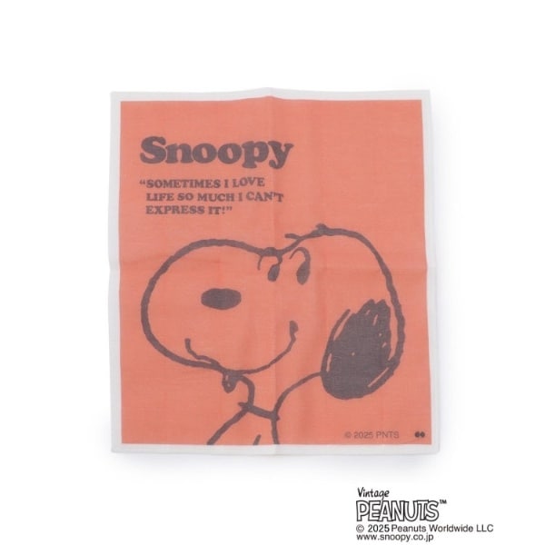 [}C]SNOOPY ␶nӂ/YeXione'sterracej bhi962j