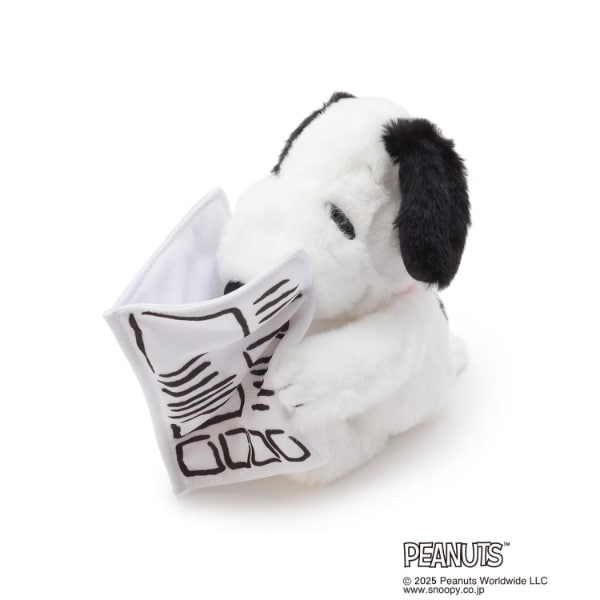 [}C]SNOOPY }XRbg 75th/YeXione'sterracej zCgi901j