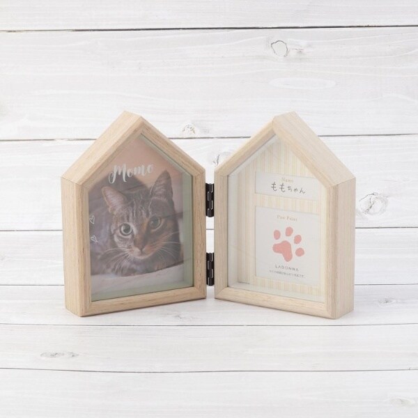 [}C]ybgt[ ؖڒ 2/YeXione'sterracej x[Wi952j