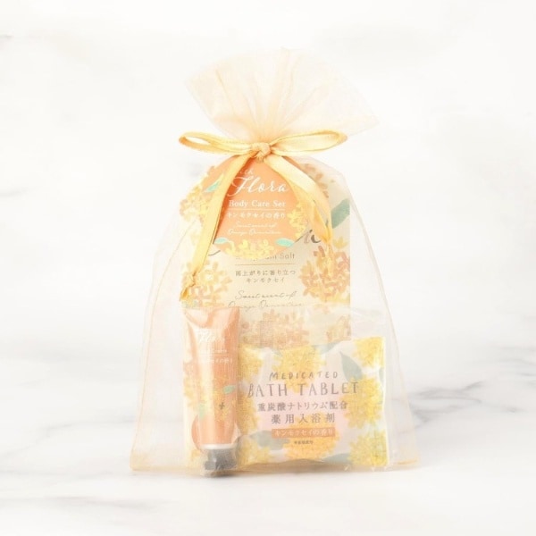 [}C]EBYt[ I[KW[Zbg/YeXione'sterracej IWi967j